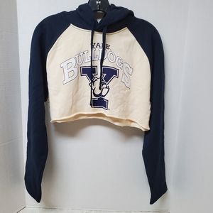 Zara Navy and Cream Crop Top